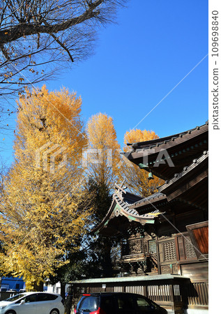 Isesaki Shrine, a power spot in Isesaki City, Gunma Prefecture Isesaki Shrine, a power spot in Isesaki City, Gunma Prefecture 109698840
