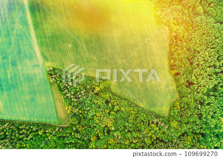 Aerial View Of Field And Deforestation Area Zone Landscape. Top View Of Field And Green Pine Forest Landscape. Large-scale Industrial Deforestation To Expand Agricultural Fields Aerial View Of Field And Deforestation Area Zone Landscape. Top View Of Field And Green Pine Forest Landscape. Large-scale Industrial Deforestation To Expand Agricultural Fields 109699270