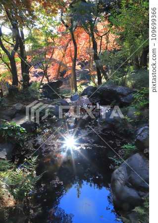 Tokyo Metropolitan Tonogayato Garden Kokubunji City, Tokyo Tokyo Metropolitan Tonogayato Garden Kokubunji City, Tokyo 109699366