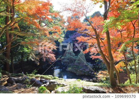 Tokyo Metropolitan Tonogayato Garden Kokubunji City, Tokyo Tokyo Metropolitan Tonogayato Garden Kokubunji City, Tokyo 109699370