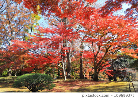 Tokyo Metropolitan Tonogayato Garden Kokubunji City, Tokyo Tokyo Metropolitan Tonogayato Garden Kokubunji City, Tokyo 109699375