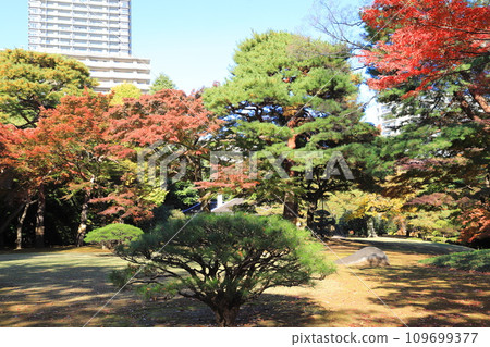 Tokyo Metropolitan Tonogayato Garden Kokubunji City, Tokyo Tokyo Metropolitan Tonogayato Garden Kokubunji City, Tokyo 109699377