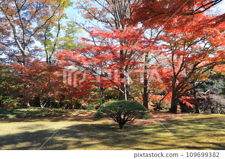 東京都殿谷戶花園 東京都國分寺市 東京都殿谷戶花園 東京都國分寺市 109699382