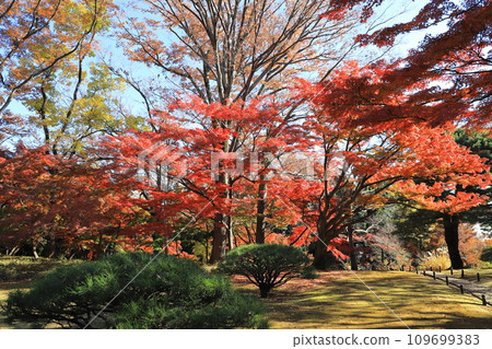東京都殿谷戶花園 東京都國分寺市 東京都殿谷戶花園 東京都國分寺市 109699383
