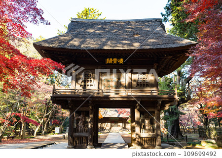Autumn leaves at Heirinji Temple, Niiza City, Saitama Prefecture 109699492