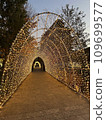 Christmas tree  109699577