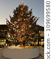 Christmas tree  109699580