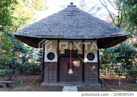 埼玉縣新座市平輪寺的秋葉 109699584