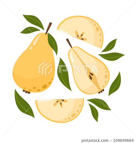 Whole and slices pears with leaves. Set of sweet fruit. Summer vitamin vector abstract illustration for banner, poster, flyer, greeting card. Cartoon flat style. 109699664