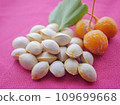 Ginkgo nuts 8 109699668