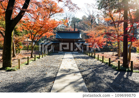 Autumn leaves at Heirinji Temple, Niiza City, Saitama Prefecture 109699870