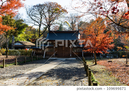 埼玉縣新座市平輪寺的秋葉 109699871