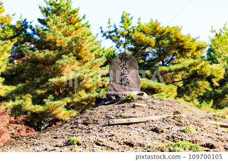 埼玉縣新座市 平輪寺 顯洞塚 埼玉縣新座市 平輪寺 顯洞塚 109700105