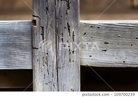 Insect-eaten marks on pillars Insect-eaten marks on pillars 109700239