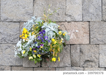 Flower art decorated on the wall 109700378