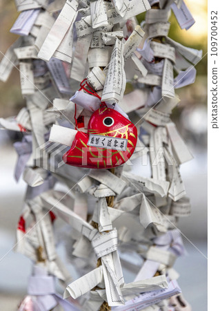 goldfish and omikuji knotted 109700452