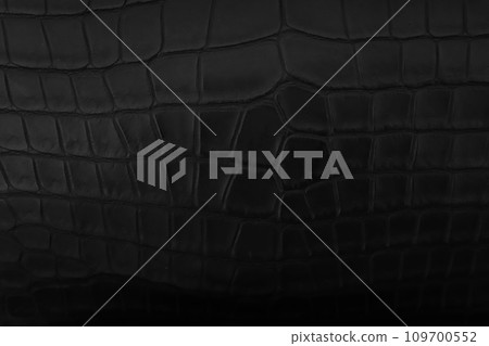black crocodile leather surface 109700552