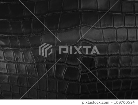 black crocodile leather surface black crocodile leather surface 109700554