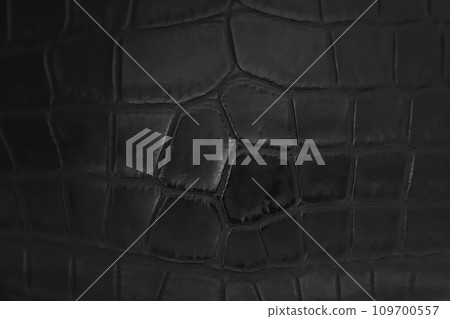 black crocodile leather surface black crocodile leather surface 109700557