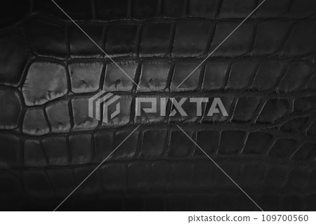 black crocodile leather surface 109700560
