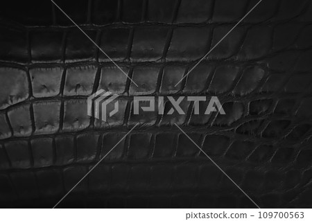 black crocodile leather surface black crocodile leather surface 109700563