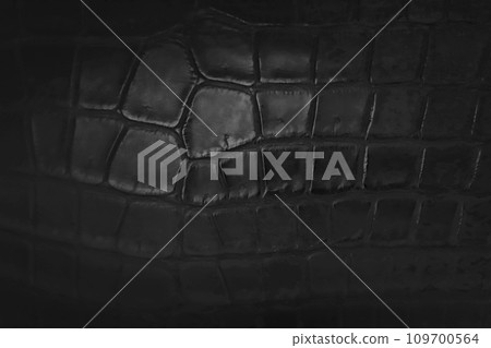 black crocodile leather surface 109700564