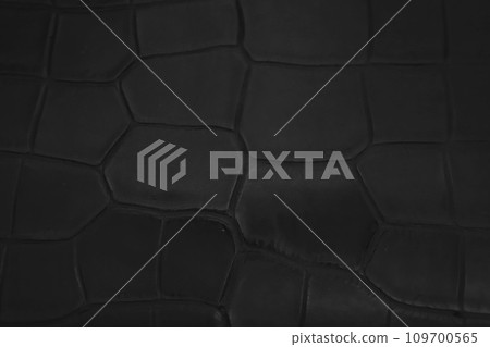 black crocodile leather surface 109700565