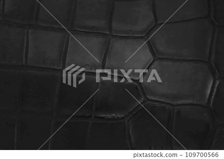 黑色鱷魚皮表面 109700566