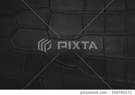 black crocodile leather surface 109700571