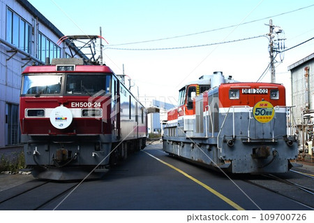 EH500 electric locomotives and DE11 diesel locomotives lined up at the depot 109700726