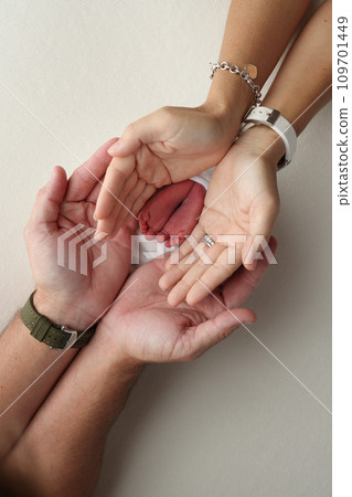 The palms of the parents, father and mother hold the legs, feet of a newborn baby in a white wrapper on a white background. Feet, heels and toes of a newborn child close -up. Professional macro photo. 109701449