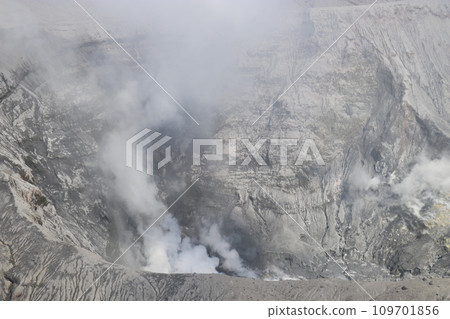 Aso Cuddly Dominion, 熊本 Aso Cuddly Dominion, 熊本 109701856