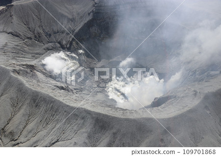 Aso Cuddly Dominion, 熊本 Aso Cuddly Dominion, 熊本 109701868