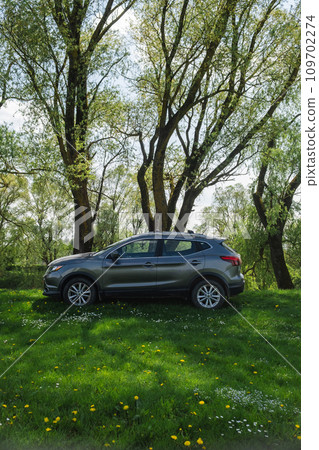 a gray car is standing in nature among the trees a gray car is standing in nature among the trees 109702274