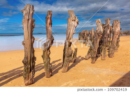 Wooden breakwater and beach, Saint-Malo, Brittany, France Wooden breakwater and beach, Saint-Malo, Brittany, France 109702419