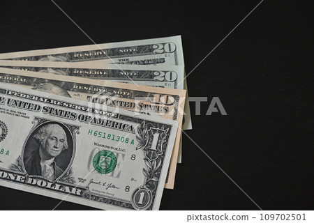 rows of dollar bills rows of dollar bills 109702501