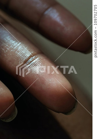 Fingerprint identity verification concept, biometric, security background Fingerprint identity verification concept, biometric, security background 109702705