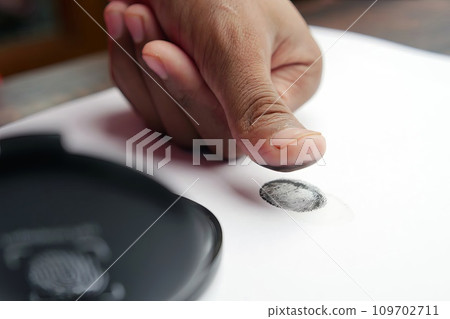 Fingerprint identity verification concept, biometric, security background 109702711