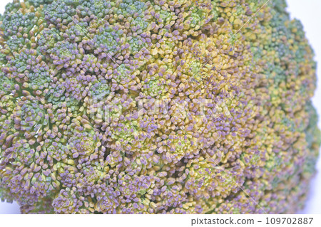 Close-up of yellow and purple broccoli 109702887