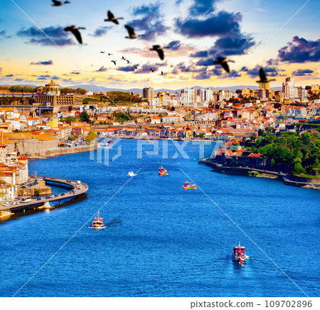 Panoramic view of Old Porto. 109702896