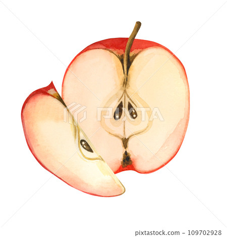 Watercolor composition. Half a red apple with seeds and an apple slice, hand painted with watercolors. Suitable for printing on fabric and paper, for decorating kitchen utensils, dishes, textiles. 109702928