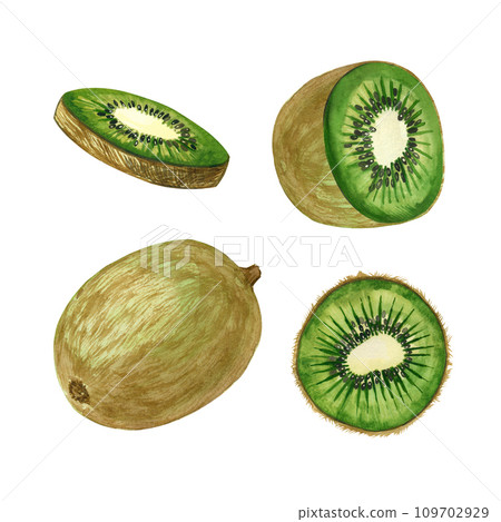 Watercolor illustration of Green kiwi. Whole kiwi fruit, half kiwi and kiwi circles hand-drawn in watercolor on a white background. For printing on paper, fabric, kitchen, tableware and towel design 109702929