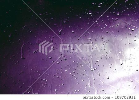 Rainy day in violet toned. 109702931