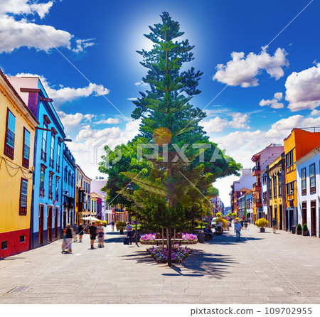 Landmark and streets in Spanish Canary Islands. 109702955