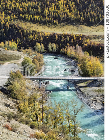 Vertical view to the bridge over the Chuya River. Mountain river on a background of autumn forest. 109703030