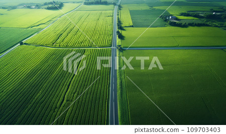 Top view of lush green fields cut through by country roads, in various shades of green. Agricultural planning in green infrastructure, sustainable land use concept Top view of lush green fields cut through by country roads, in various shades of green. Agricultural planning in green infrastructure, sustainable land use concept 109703403