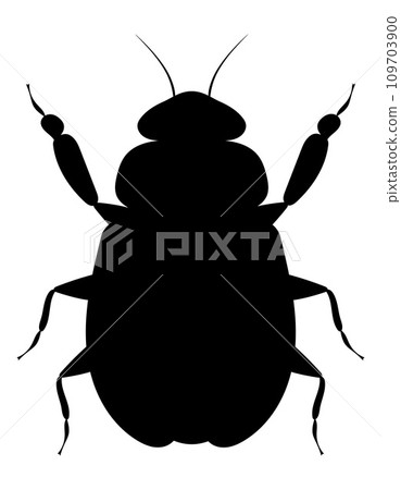 bug insects wildlife animals vector illustration bug insects wildlife animals vector illustration 109703900