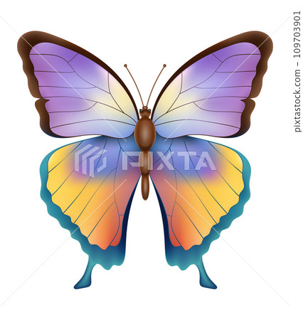 butterfly insects wildlife animals vector illustration butterfly insects wildlife animals vector illustration 109703901