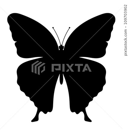 butterfly insects wildlife animals vector illustration butterfly insects wildlife animals vector illustration 109703902