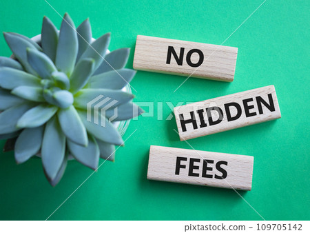No Hidden Fees symbol. Concept words No Hidden Fees on wooden blocks. Beautiful green background with succulent plant. Business and No Hidden Fees concept. Copy space. No Hidden Fees symbol. Concept words No Hidden Fees on wooden blocks. Beautiful green background with succulent plant. Business and No Hidden Fees concept. Copy space. 109705142